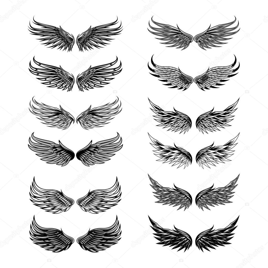 Wings angel vector set