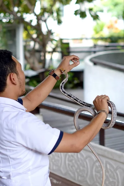 snake bite a man hand in bangkok thailand