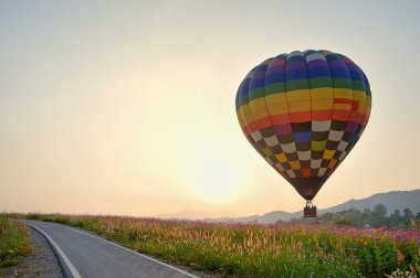 balon ve kuzeyinde Tayland çiçek