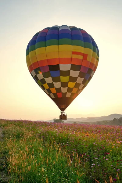 Ballon Und Blume Aus Dem Norden Thailands — Stockfoto