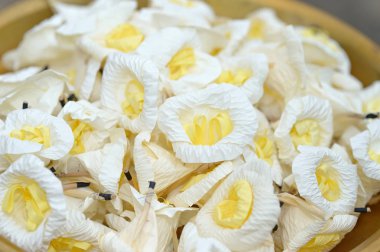 sandal ağacı çiçek