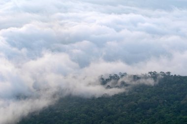 Phu Kradueng Bakış Açısı