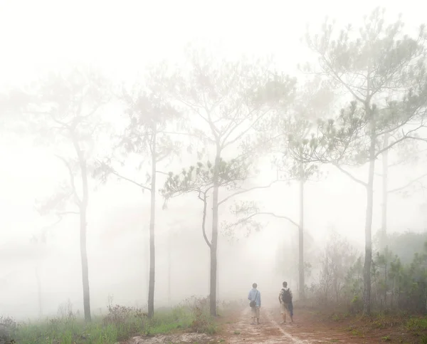 Маршрут подорожі в лісі Таїланду — стокове фото