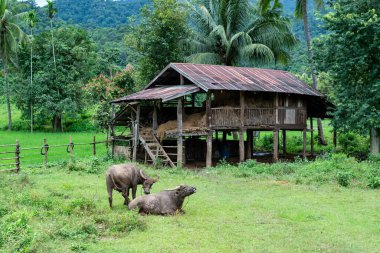 Baan Ja Bo Noodle Mae Hong Son Eyaleti