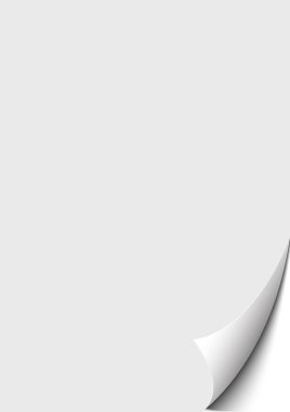 Beyaz kağıt boş sayfa dikey doku.