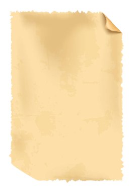 Gerçekçi vektör kağıt doku