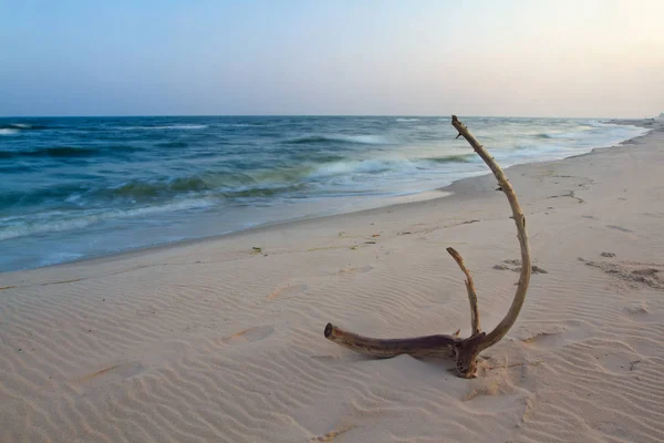 Beach Landscape Baltic Sea Poland — Stock Photo, Image