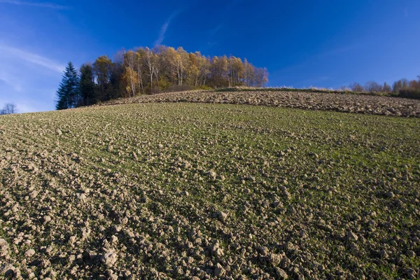 Herbstliche Feldlandschaft Polen Malopolska — Stockfoto