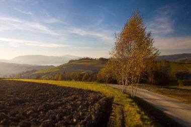 Yol ile alanlar, Polonya.