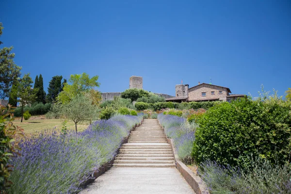 Entrée Château Monteriggioni Toscane Italie — Photo