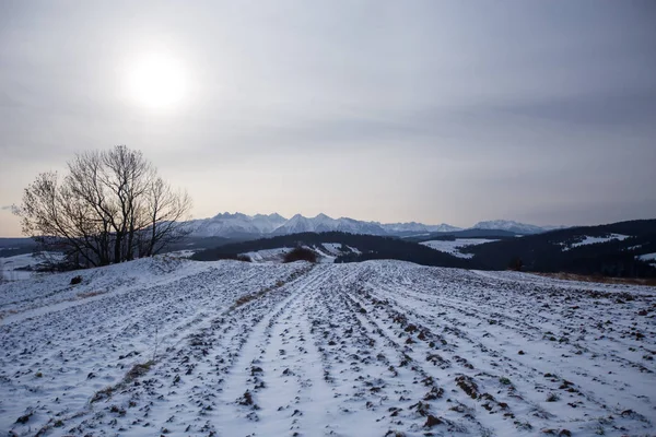 冬のポダレ ポーランド — ストック写真