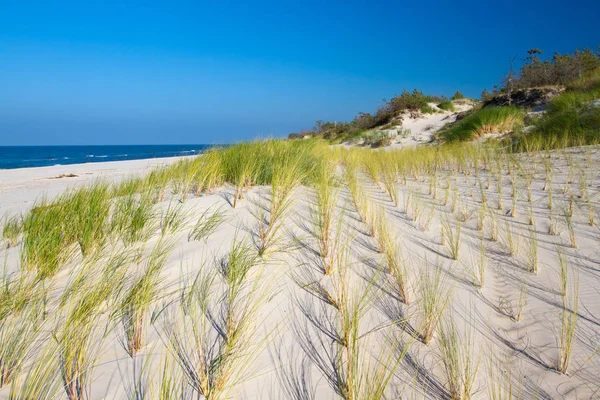 Beach Landscape Baltic Sea Poland — Stock Photo, Image