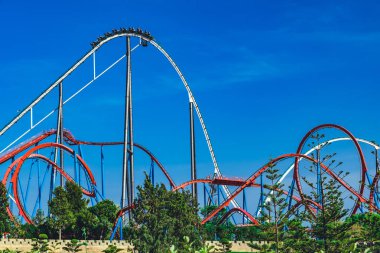 Şaşırtıcı cazibe park.