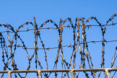 Dikenli tel üzerinde mavi gökyüzü closeup backgroung