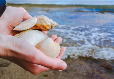Deniz arka planı kişi, elinde birkaç kabukları