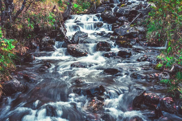 Små Steniga Falls Tråkiga Hösten Skogen — Stockfoto