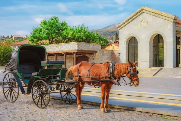 Das Pferd Der Kutsche Auf Der Straße Der Südgeorgischen Kleinstadt — Stockfoto