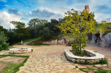 Ağaç bahçe Atina'da Philopopos tepede