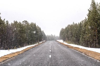 Düşen kar ile ormanda yalnız yol