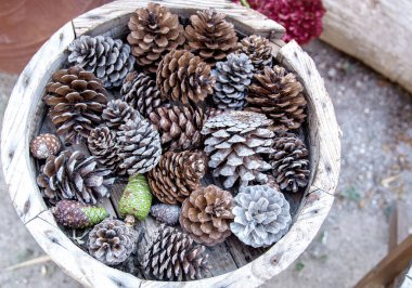 Beyaz yuvarlak tencereye gümüş boyanmış Noel kırsal dış dekoru. Görünümün üstünde