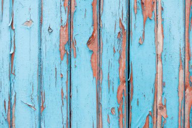 Mavi boyalı ve çivili eski çitler.