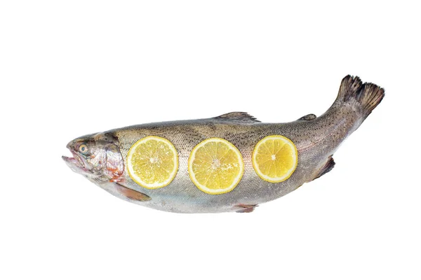 Vista Sopra Tutto Grande Pesce Salmone Con Fette Limone Isolate — Foto Stock