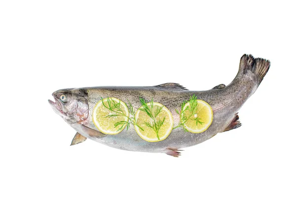 View Whole Big Salmon Fish Lemon Slices Isolated White Background — Stock Photo, Image