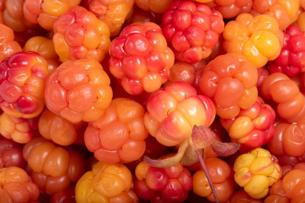 Sfondo Giallo Destro Rosso Bacca Nuvolosa Matura — Foto Stock