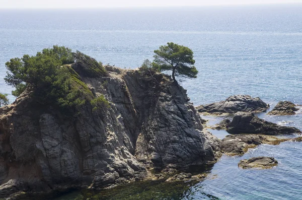 Denizde kayalık bir ada