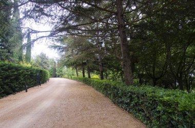 Güzel bir parkta toprak yol. Indian bahçeleri