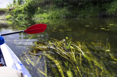 Su üzerinde kayak kürek, nehir