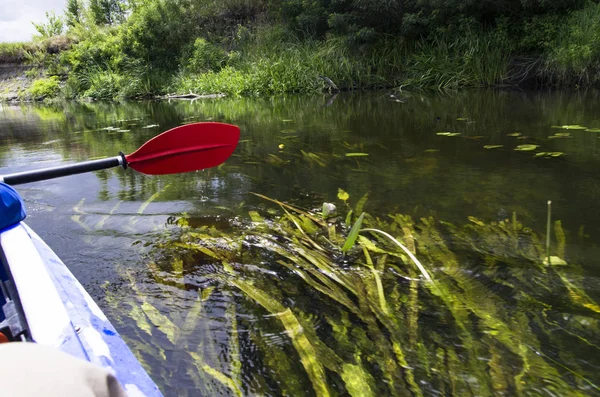 Su üzerinde kayak kürek, nehir