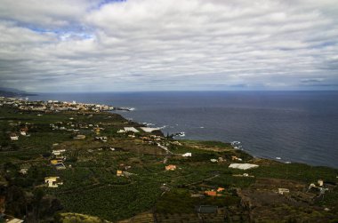 Tenerife Kuzey kıyısında peyzaj