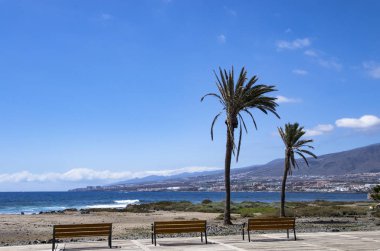 Boş banklar ve palmiye ağaçlarıyla Tenerife sahili