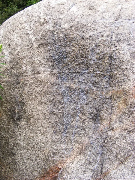 Fragment Van Oude Boulder Met Opdruk Van Dinasaur — Stockfoto