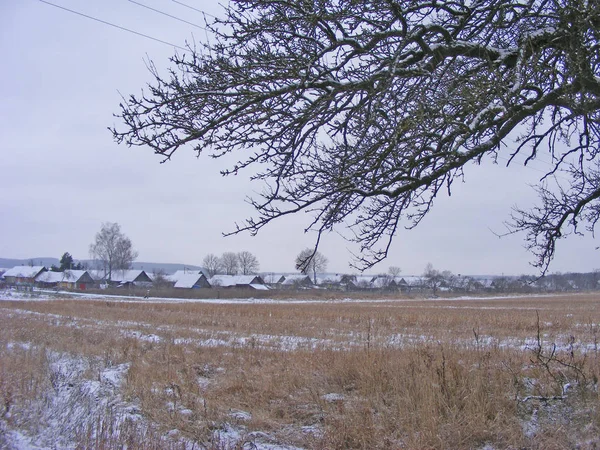 Scenic Rural Landscape Winter Field Snowy Branch Old Village Background — Stock Photo, Image