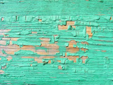 Yeşil eski püskü ahşap duvar yakın çekim