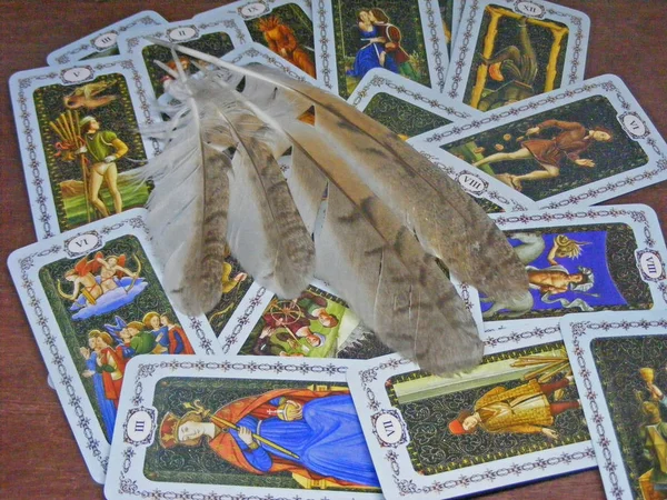 Tarot. Tarot cards with owl feathers