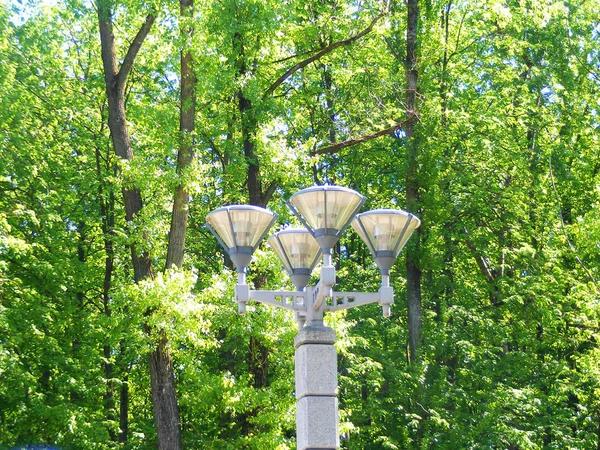Classical black lantern lamp in green park