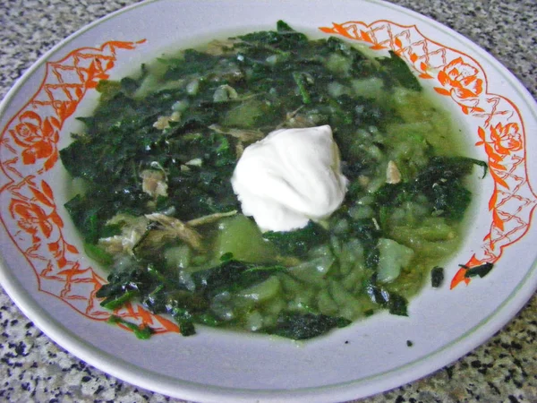 俄罗斯菜 荨麻绿汤在俄罗斯碗 草药维生素汤的健康 — 图库照片