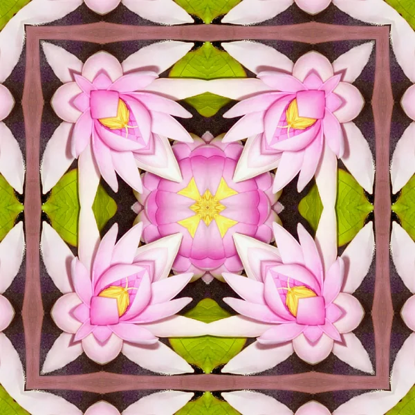 Mandala lotus lily pink pattern, pattern indian medallion