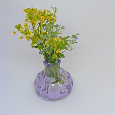 Beyaz arka plan üzerinde izole mor vazoda kır çiçekleri