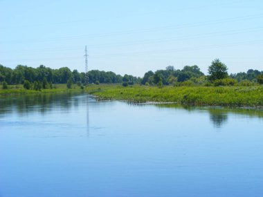 Tipik yaz nehir sahne, nehir Schara, Slonim, Beyaz Rusya. Yaz manzara orman göl, nehir ve mavi gökyüzü ile.