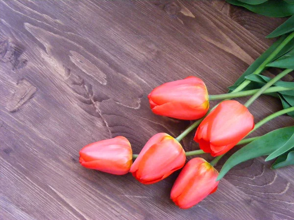 Strauß Roter Tulpen Auf Schäbigem Tisch Mit Platz Für Text — Stockfoto