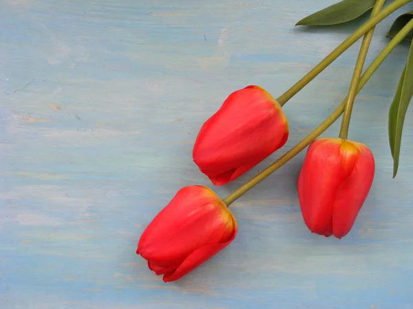 Rote Tulpen Auf Altem Holz Bemalt Hintergrund Mit Kopierraum — Stockfoto