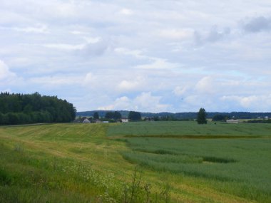 Beyaz Rusya, ortalarını yatay, tipik bir köyde bir görünümünü