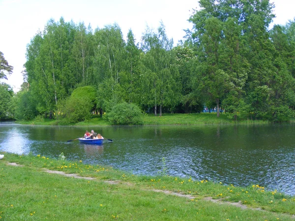 Старой Лодке Реке Заросли Торфа — стоковое фото