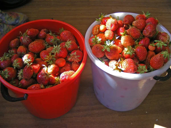 两个水桶里的新鲜草莓 — 图库照片