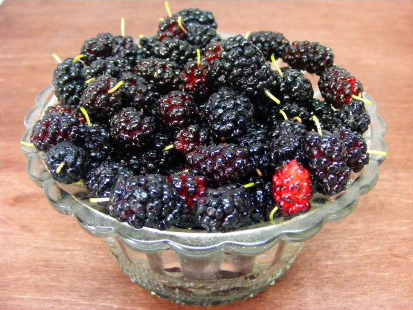 Fresh black mulberry in crystal bowl. Close up