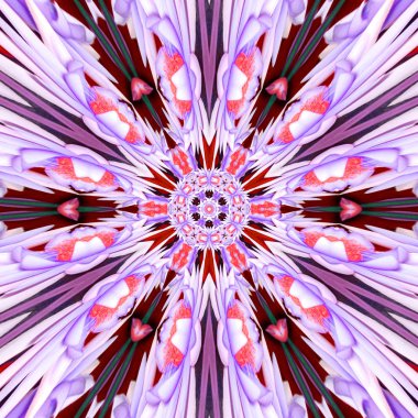 Menekşe çiçek çiçek Dürbünü mandala